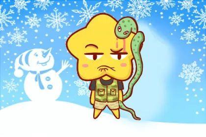 逗留不进打一正确生肖，揭秘生肖之谜