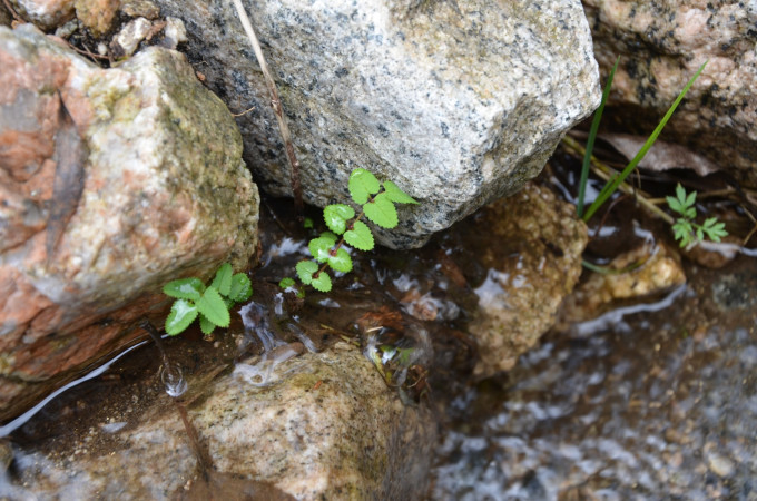 山穷水尽打一个生肖、友爱作答落实解释