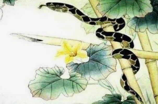 解析如鱼得水与生肖的奇妙联系,揭秘正确答案及其实践意义 解析如鱼得水与生肖的奇妙联系,揭秘正确答案及其实践意义