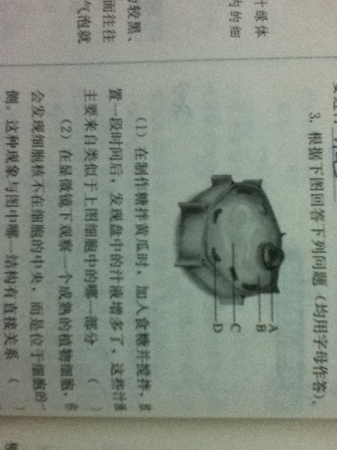 三五接五配一三是什么生肖、最佳作答落实解释 三五接五配一三是什么生肖、最佳作答落实解释