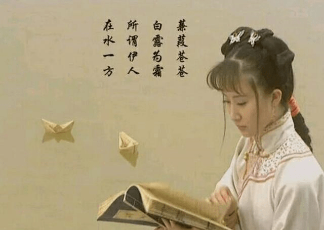 红颜薄命与生肖之谜,全面揭晓与深度解析 红颜薄命与生肖之谜,全面揭晓与深度解析