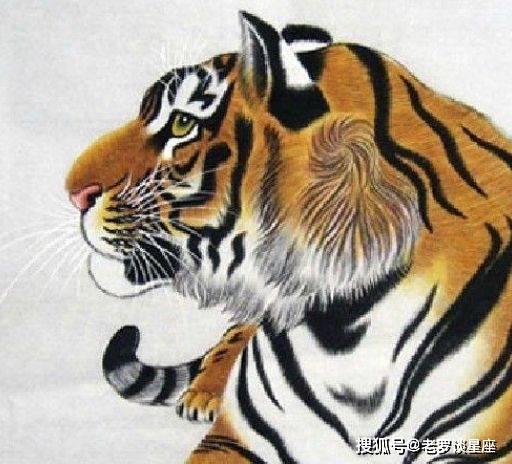 揭秘丢眉丢眼背后的生肖谜题 揭秘丢眉丢眼背后的生肖谜题