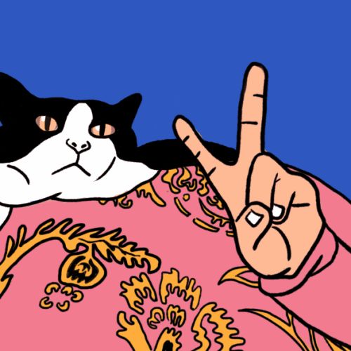 嫉恶好善打一准确的动物、探讨解释落实 嫉恶好善打一准确的动物、探讨解释落实