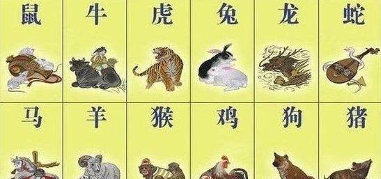 弄鬼掉猴,揭秘生肖背后的文化与智慧 弄鬼掉猴,揭秘生肖背后的文化与智慧