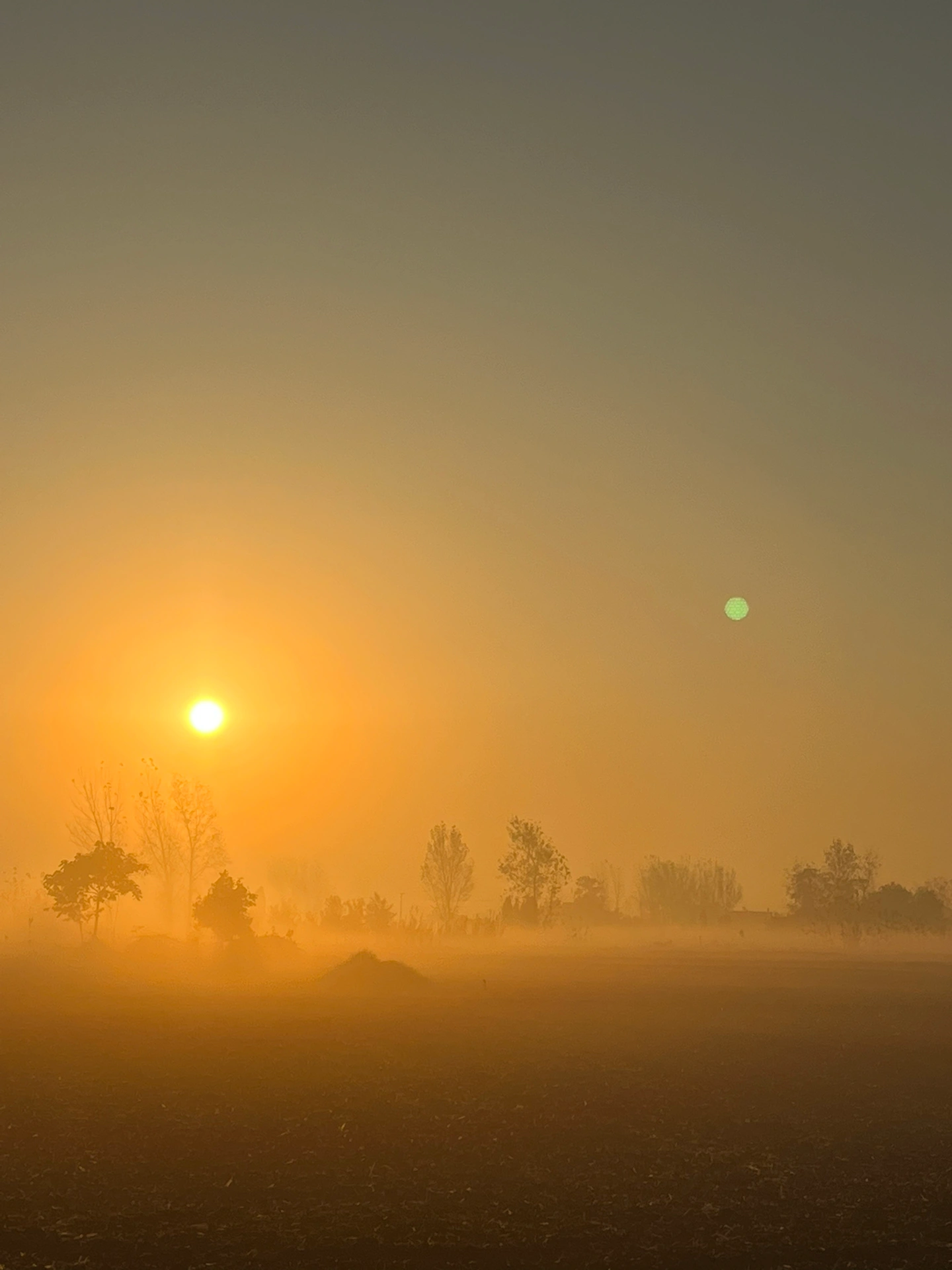 朦朦胧胧是什么生肖、预测解释落实 朦朦胧胧是什么生肖、预测解释落实