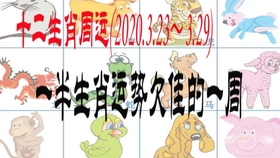 十二生肖与文武百官的神秘联系，揭秘古代官场文化