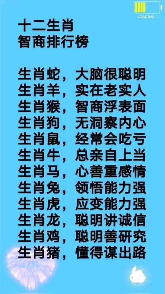 广开门路，权威揭晓的生肖智慧