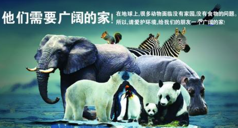 人财两失打一动物:精准解答落实 人财两失打一动物:精准解答落实