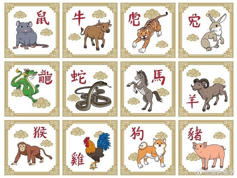 如雷贯耳的生肖谜语与落实的智慧 如雷贯耳的生肖谜语与落实的智慧