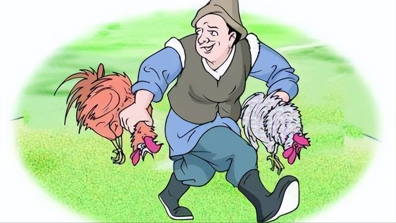 偷鸡摸狗，揭秘背后的生肖寓意与正确行为导向