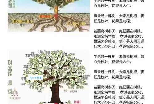 树大根深打一最佳生肖、精选解释落实 树大根深打一最佳生肖、精选解释落实