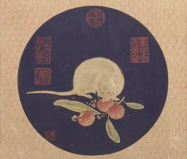 揭秘说长道短背后的生肖谜底 揭秘说长道短背后的生肖谜底