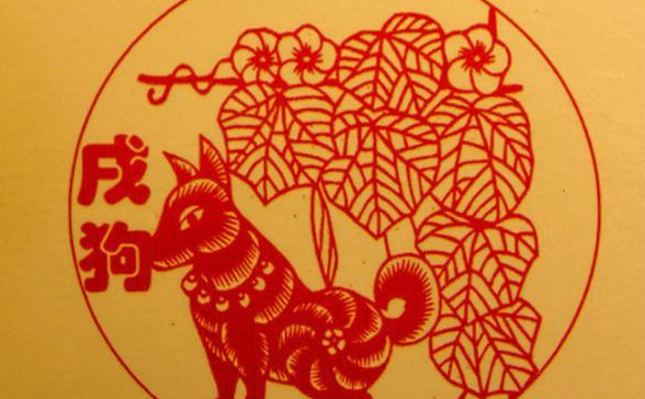 月黑风高夜,揭秘生肖之谜,鼠的智慧与机遇 月黑风高夜,揭秘生肖之谜,鼠的智慧与机遇