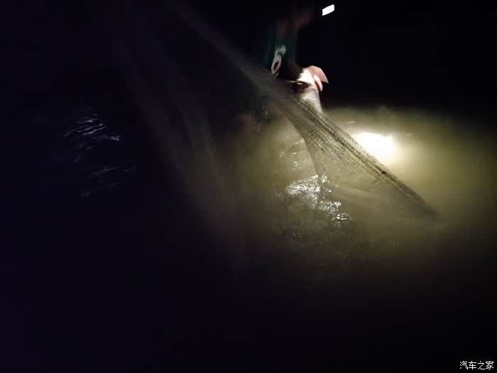 两天打鱼三天网，专家解读与生肖文化中的智慧