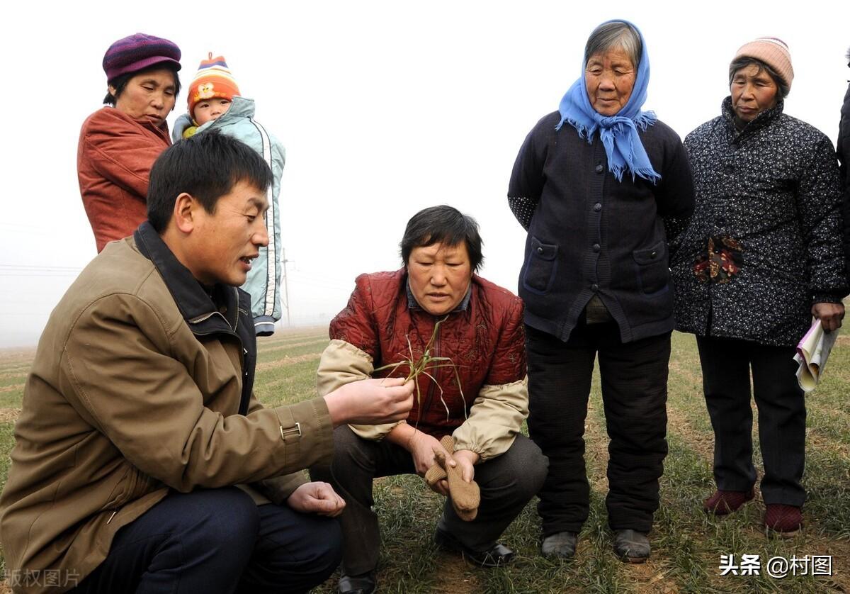 四二独自暗中明是什么生肖、值得解释落实 四二独自暗中明是什么生肖、值得解释落实