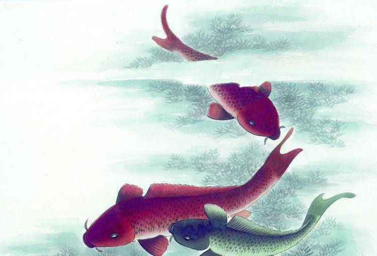 随波逐流,生肖中的鱼与人生选择的重要性 随波逐流,生肖中的鱼与人生选择的重要性