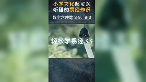 借花献佛,数字背后的智慧与文化 借花献佛,数字背后的智慧与文化