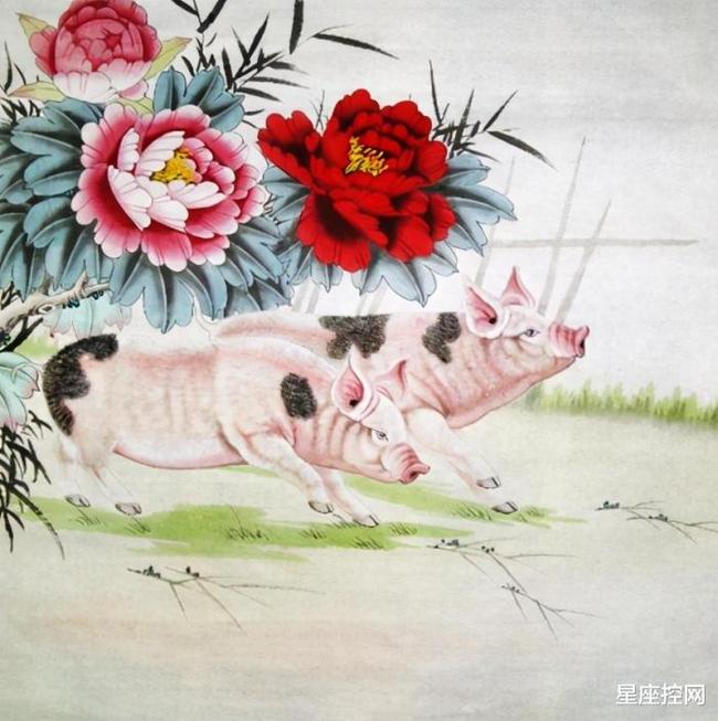 风调雨顺与生肖之谜,揭秘答案背后的文化寓意 风调雨顺与生肖之谜,揭秘答案背后的文化寓意