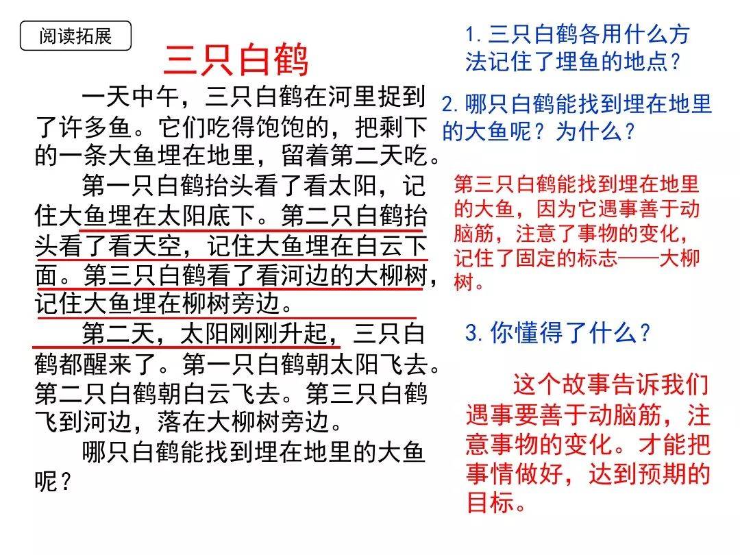 十指连心,揭秘生肖之谜与深度解析 十指连心,揭秘生肖之谜与深度解析