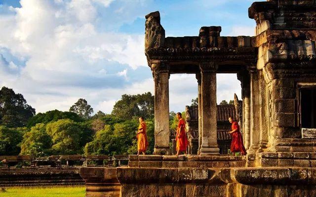 探秘高耸入云，揭秘生肖之谜