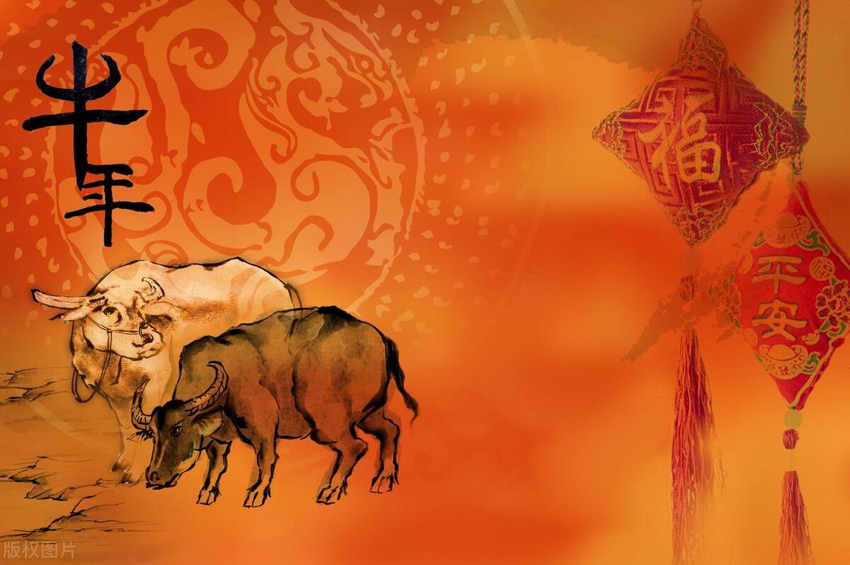 风云突变，揭秘打一生肖的谜底与文化解析