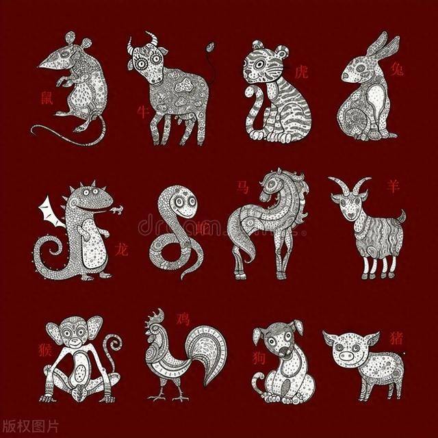 历历在目，探寻生肖背后的文化密码