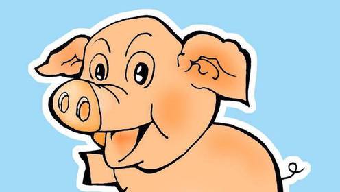 仰面朝天打最佳生肖、科学解释落实 仰面朝天打最佳生肖、科学解释落实