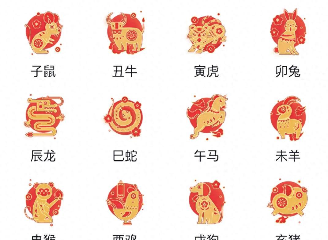 相机而行打一生肖:权威揭晓落实