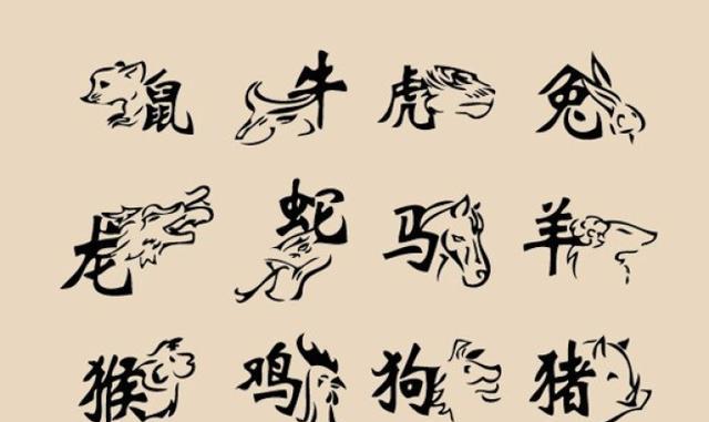 忆昔抚今是什么生肖、发现解释落实