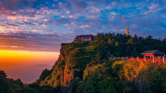 极目四望，探索最新解释下动物行为的奥秘