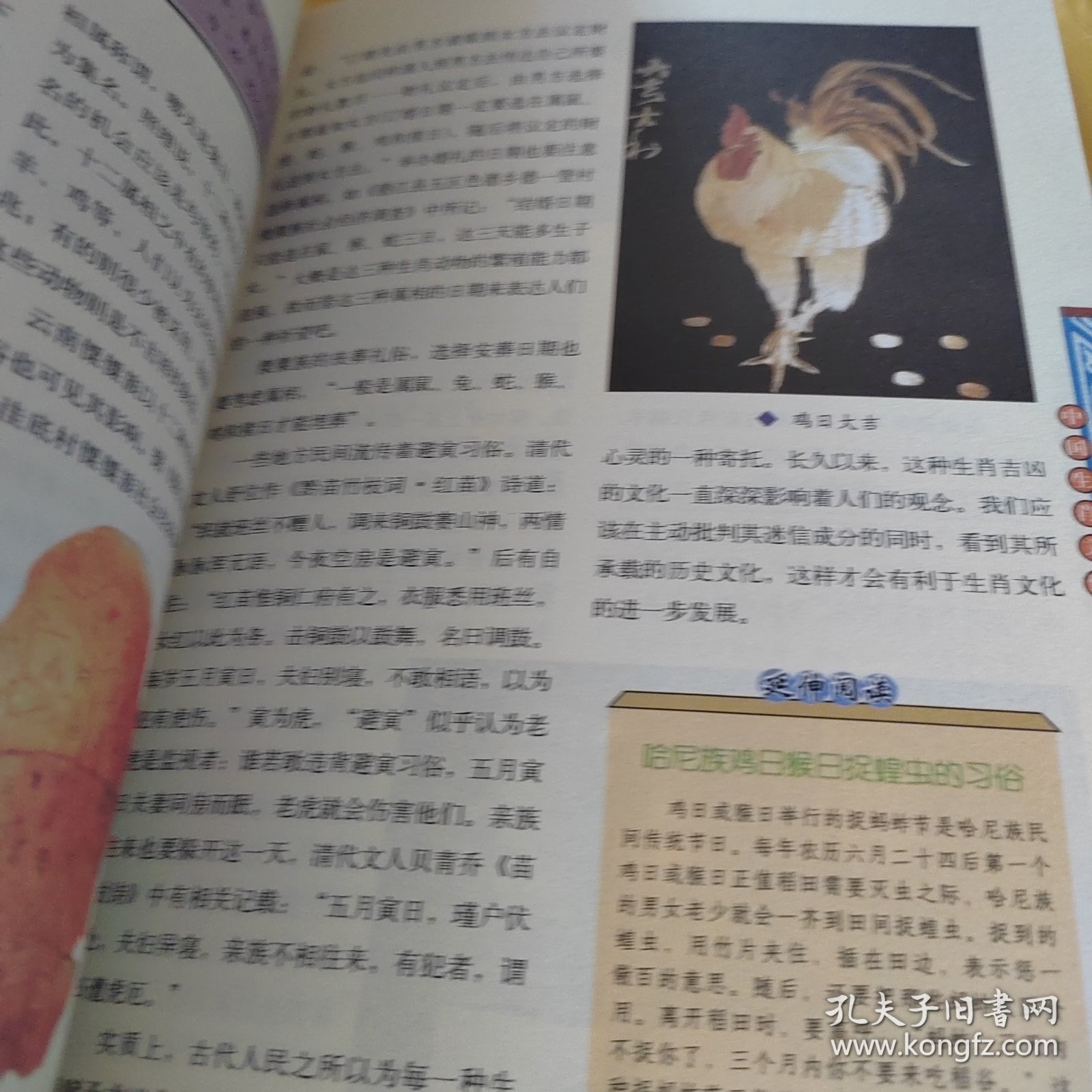 鸡飞蛋打，解密生肖之谜与精彩文化解读