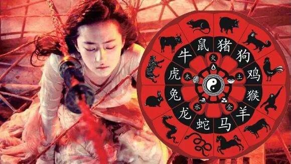 刀枪不入十二最佳生肖:答案全面解释落实 刀枪不入十二最佳生肖:答案全面解释落实