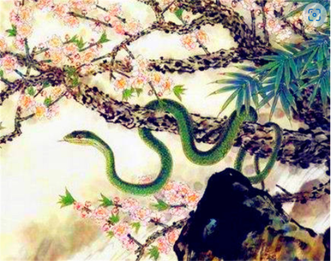 揭秘生肖谜题,攀高枝儿背后的生肖奥秘 揭秘生肖谜题,攀高枝儿背后的生肖奥秘