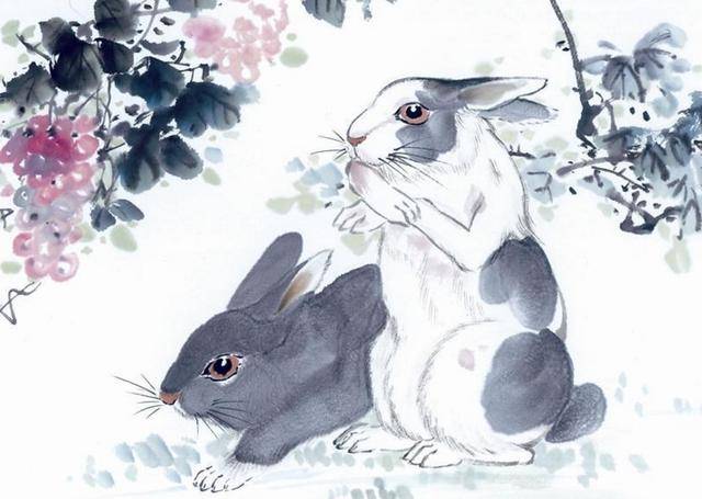 紫气东来是什么生肖:详细解释落实 紫气东来是什么生肖:详细解释落实