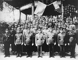 危亡关头,以蚂蚁的坚韧诠释无限解释落实的力量 危亡关头,以蚂蚁的坚韧诠释无限解释落实的力量