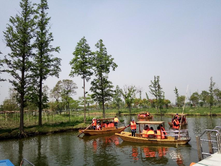 安居乐业，生肖中的和谐与幸福