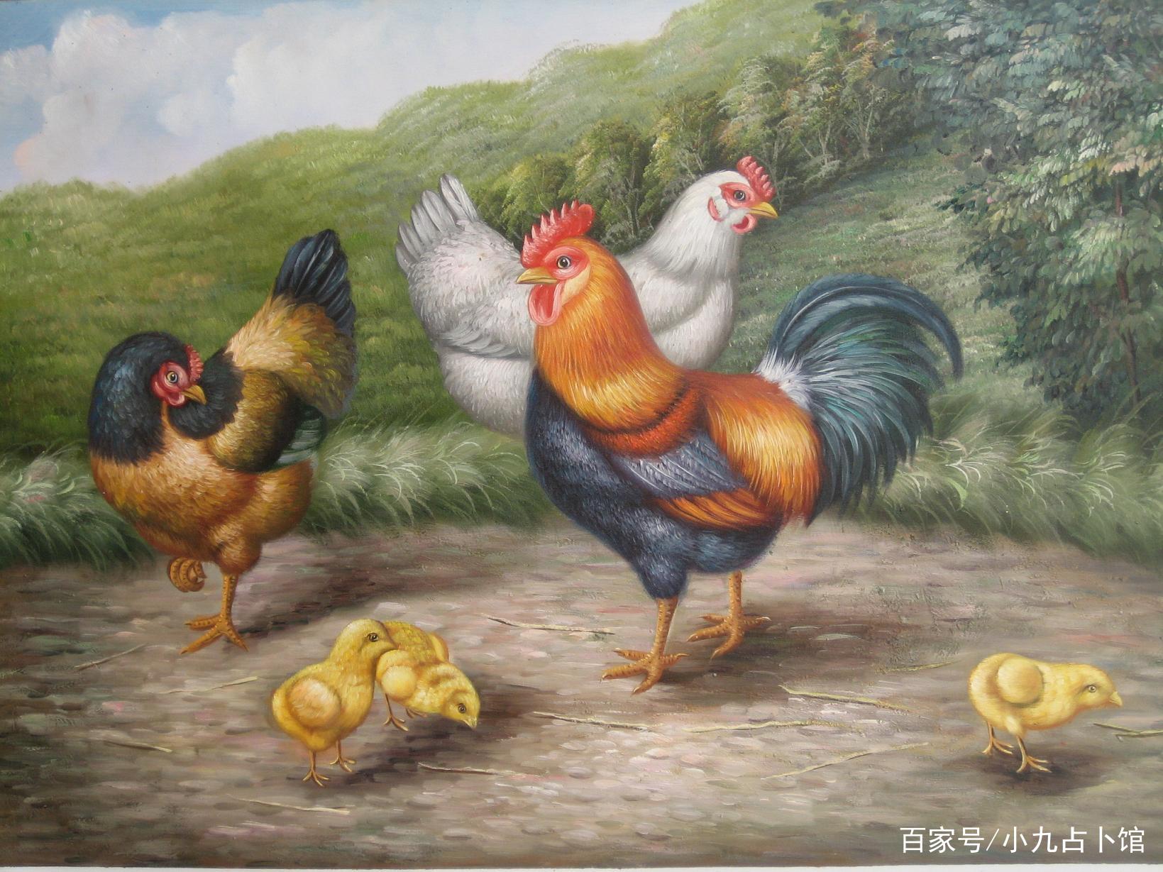 斤斤计较的生肖，生肖鸡的精彩解释与现实落实