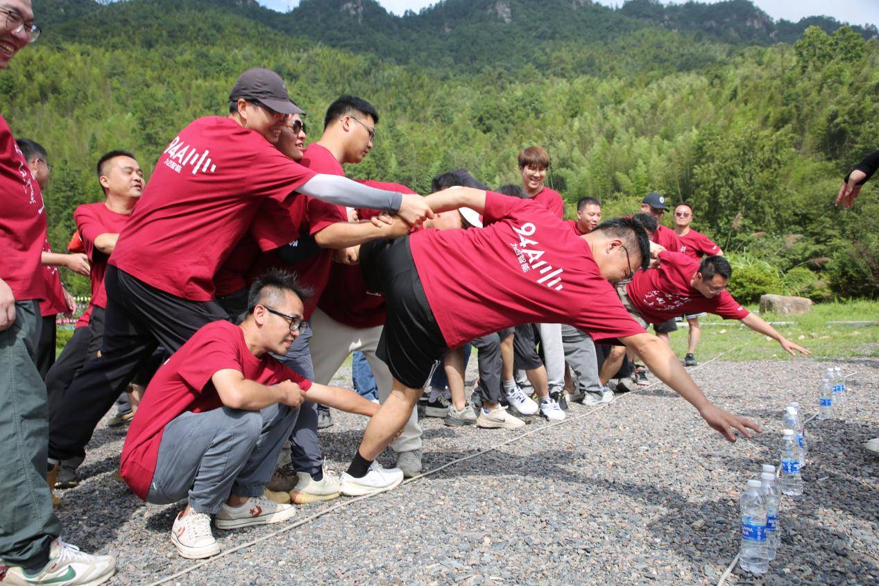 鼎力相助与团结作答，共筑成功之基的实践智慧