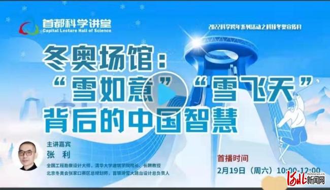 站稳脚跟，生肖背后的智慧与专家解读