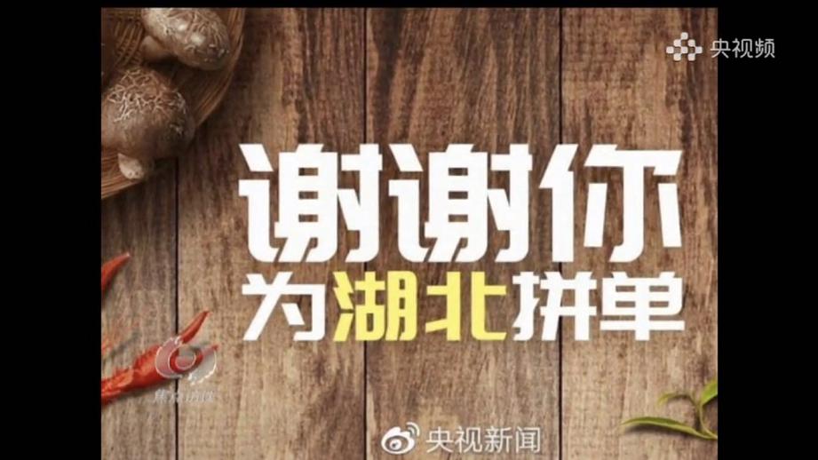 揭秘不足回旋背后的生肖谜团，全面解析与落实