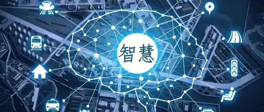 粗俗之辈与生肖之谜，最快解答落实的智慧