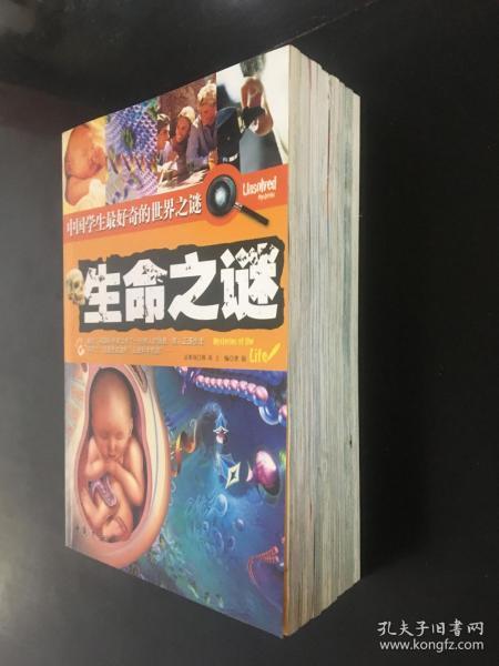 一心一意美男子，生肖之谜与成就的奥秘