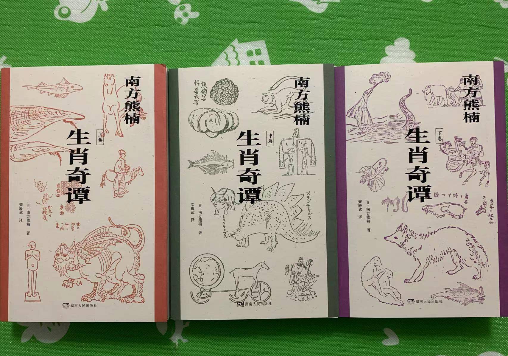 探秘书香门第与生肖的奇妙联系，一场文化与趣味的热议