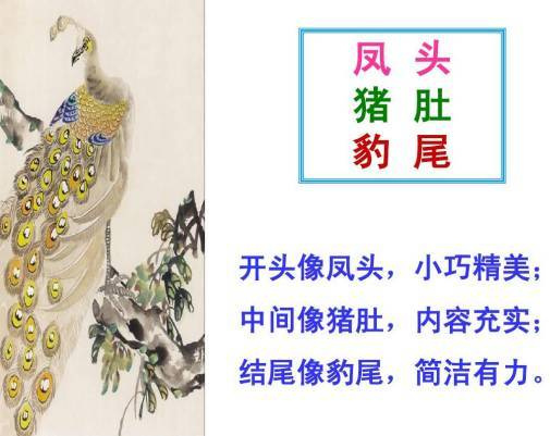 凤头猪肚,生肖中的智慧与哲理 凤头猪肚,生肖中的智慧与哲理