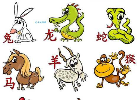 神机妙算是什么生肖的动物、最佳解释落实