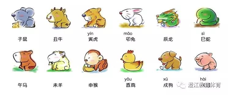 山穷水尽疑无路,生肖背后的智慧与友爱解读 山穷水尽疑无路,生肖背后的智慧与友爱解读