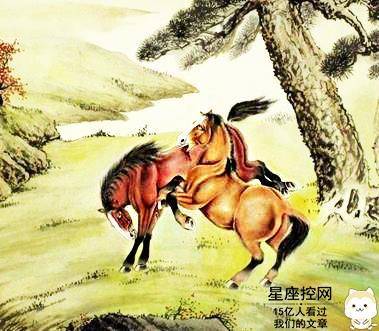 白首无成是什么生肖:词语解析解答落实 白首无成是什么生肖:词语解析解答落实