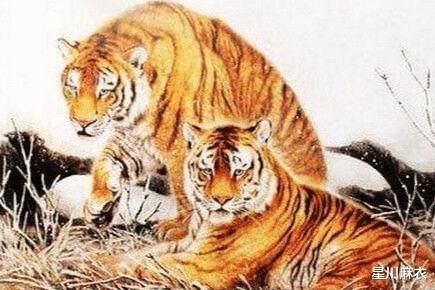 水深火热中的生肖启示与惠泽解释的落实