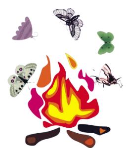 飞蛾扑火打一准确生肖:谜底即将揭晓落实 飞蛾扑火打一准确生肖:谜底即将揭晓落实