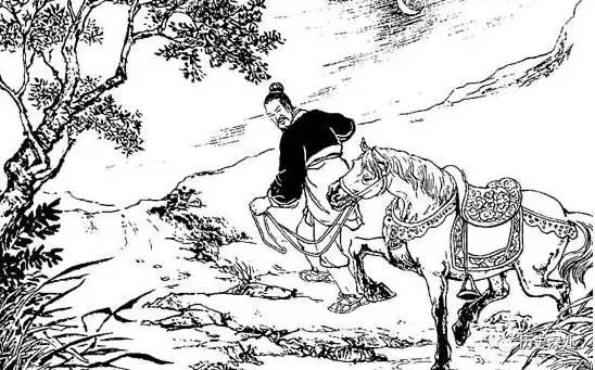 满腔热血,生肖中的热血之选—马 满腔热血,生肖中的热血之选—马